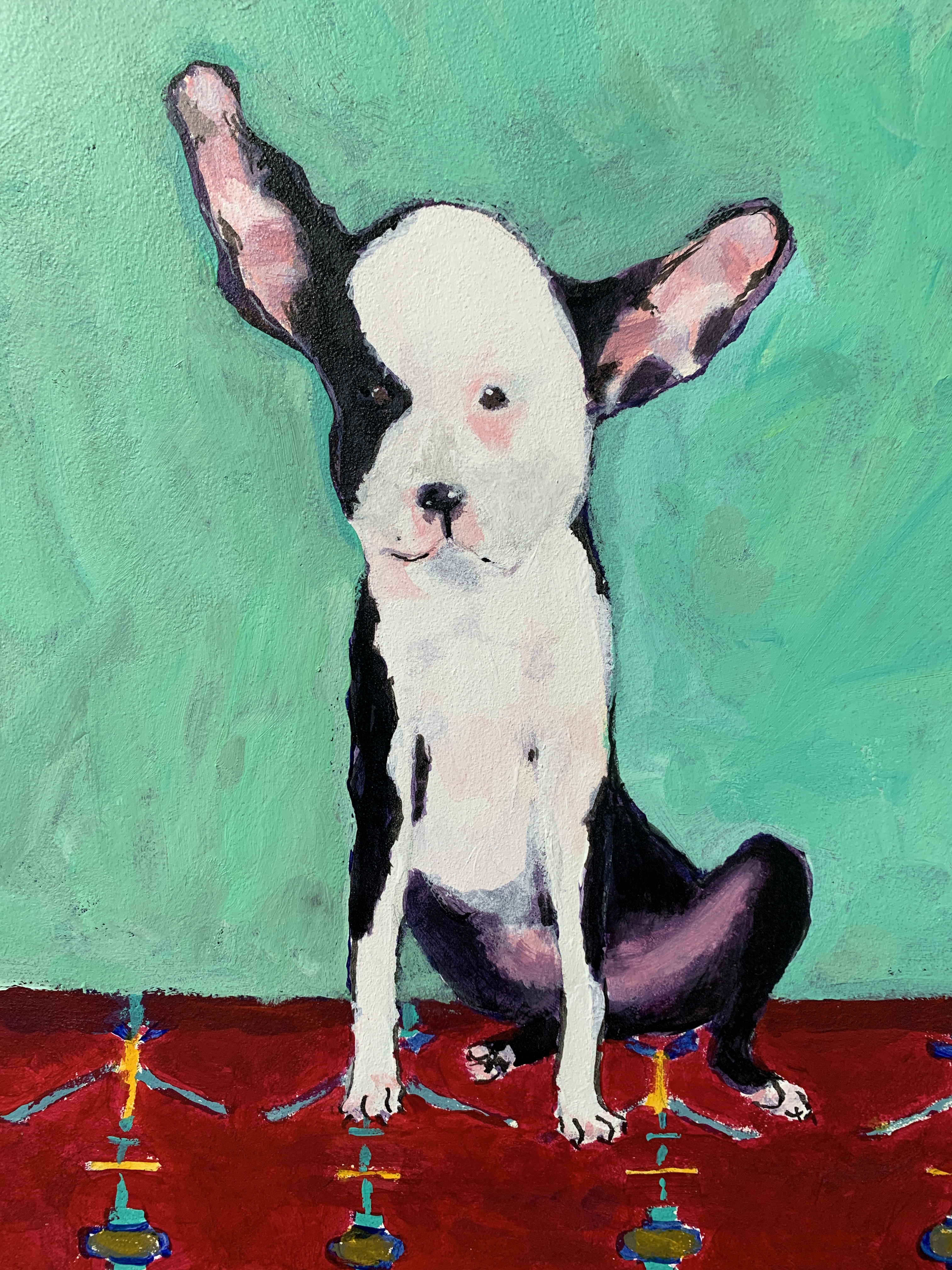 Oscar, Boston Terrier