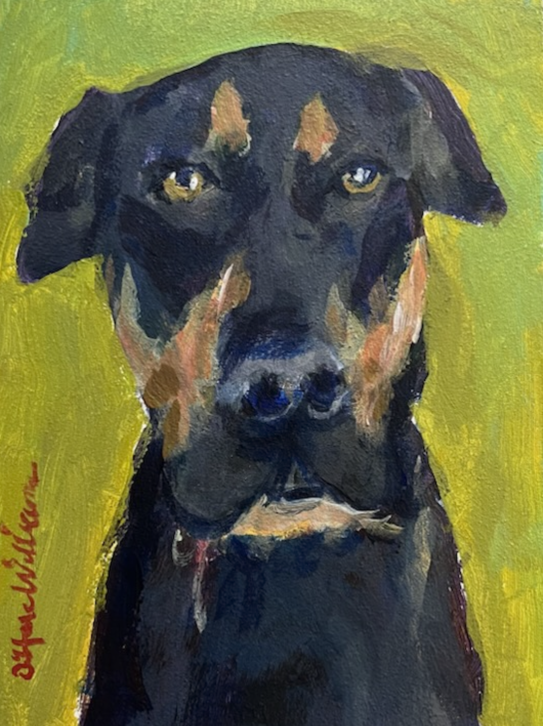 Dog portrait, oharewilliams, commission